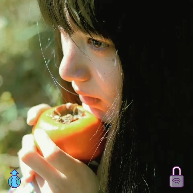 青禾